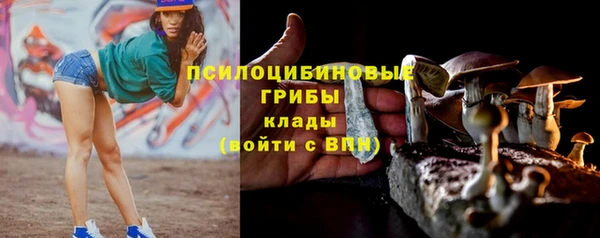 бошки Аркадак