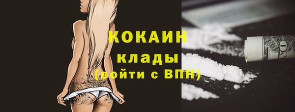 бошки Аркадак