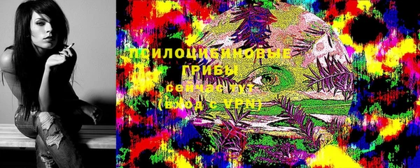 бошки Аркадак