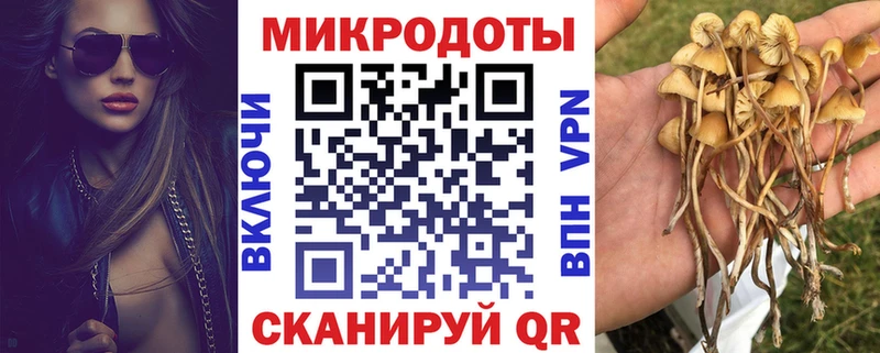 Галлюциногенные грибы прущие грибы  Рыбинск 